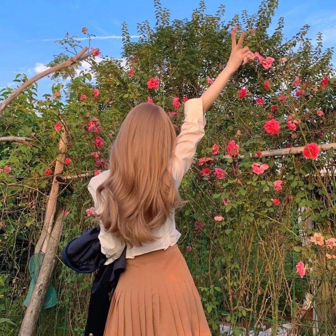 落花时节又逢她